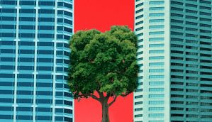 Eco-sensitive zones turn eco-destructive, courtesy govt mischief  