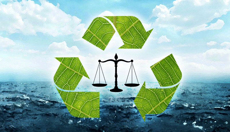 Blanket bans & hefty fines: has NGT's zeal put its future in jeopardy? 