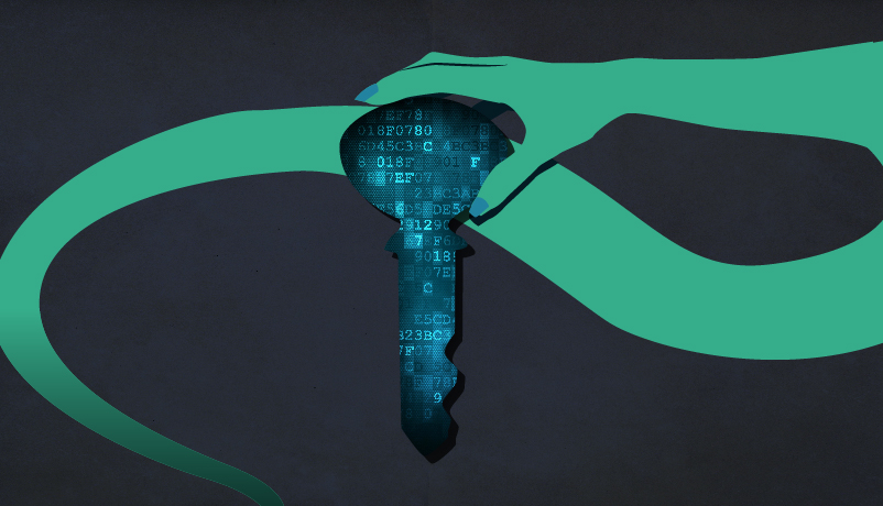 Encryption be damned: govt wants your personal data in plain text form 