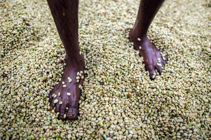 Indians ate 4 million tonnes more dal than we produced last year 