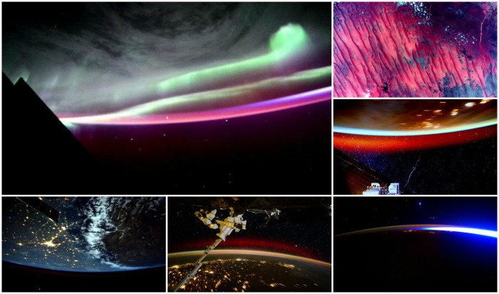 Found! THIS is the Twitter account everyone needs to follow 