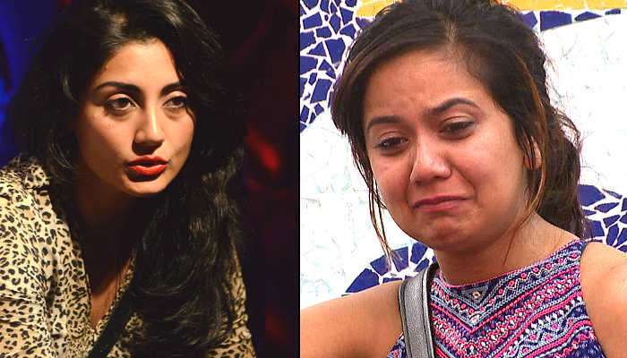Bigg Boss Nau Double Trouble: here's more about the powerpuff girls of the house 