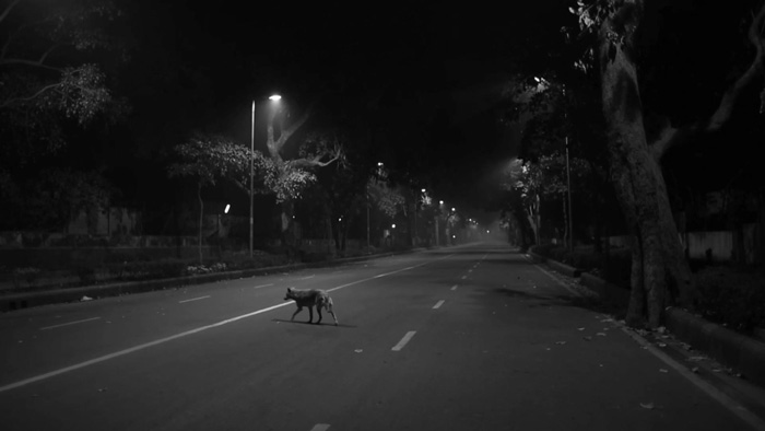 Cities of Sleep: this may be the most important film of the year 