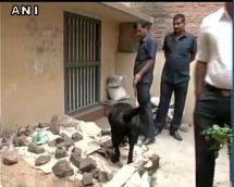 Live bombs discovered in Patna; bomb squad reaches the spot 