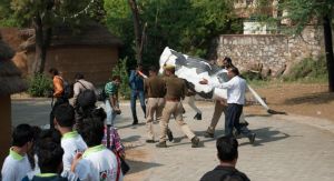 Plastic cow art taken down, artists dragged to police, 'Bovine Divine' worshipped 