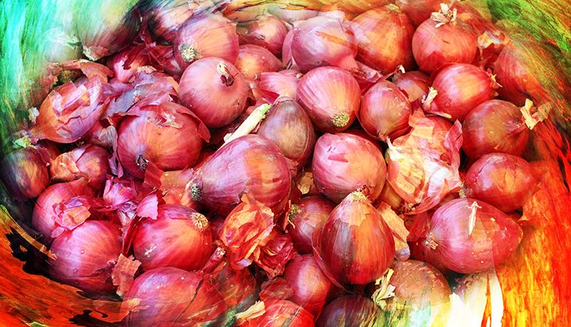 The Nobel laureate who wrote about an onion: the witty genius of Wislawa Szymborska 