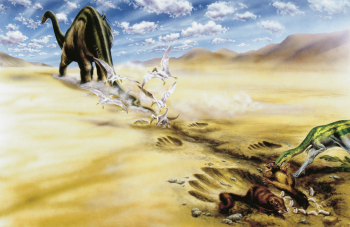 ScotHole: they thought it was a pothole. It turned out to be a dinosaur footprint 