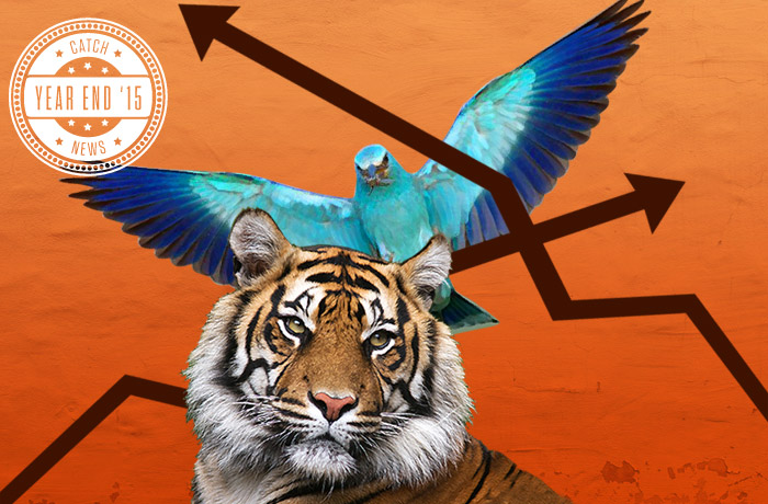 2015 Silver Linings Notebook: how 5 species bounced back 