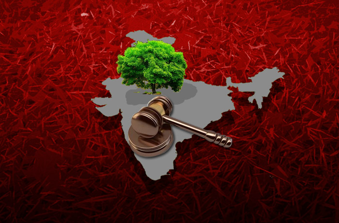 Environment 2016: keep your eye hard on these Bills  
