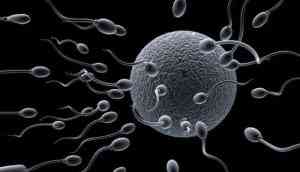 OMG! NASA has sent human and animal sperms to space to check if conceiving is possible in zero gravity