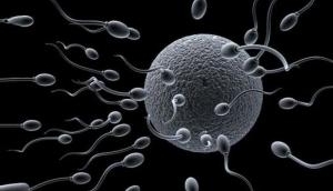 OMG! NASA has sent human and animal sperms to space to check if conceiving is possible in zero gravity