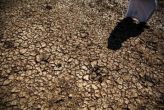 सूखाग्रस्त इलाकों में मनरेगा भी नहीं कर रहा मलहम का काम  