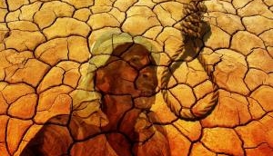 Maharashtra: Farmer makes suicide bid at event attended by ministers