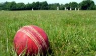 RIP! Pakistan 'striking batsman' dies after a bouncer hit his head, PCB expresses grief