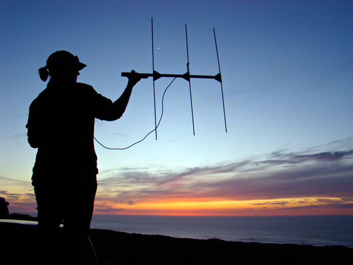 No more peer pressure: Biologists can publish directly online 