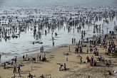 तटवर्ती क्षेत्र में 'विकास' की सरकार को कोई चिंता नहीं 