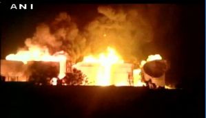 Forest fires break out in J&K as U'khand and HP struggle to contain their own blazes 