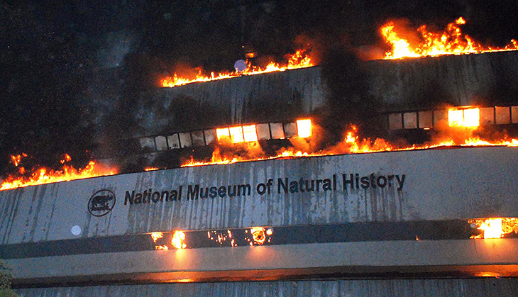 How we lost a slice of our natural history 