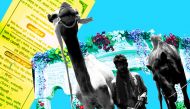 Court-ship of the desert: MP camels to get married in a gala ceremony 