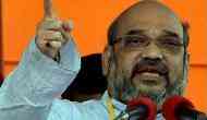 'Over 250 Jaish terrorists killed in IAF airstrike on Balakot camp,' Amit Shah's biggest claim
