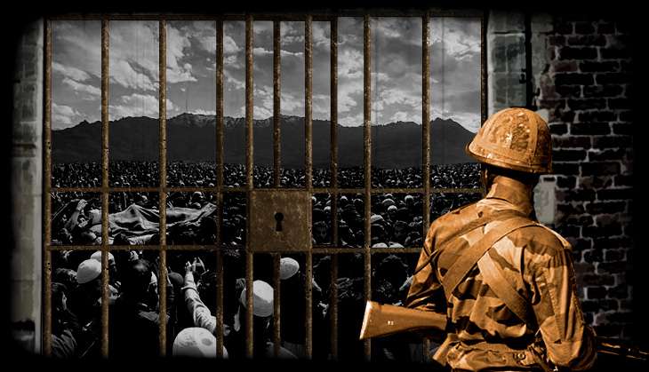 1.6 million pellets. 34 days. But would you rather we use rifles in J&K: CRPF 