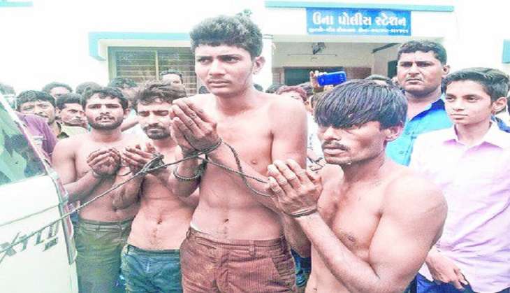 Una thrashing: Cow was killed by lion, not Dalits beaten by gau rakshaks 