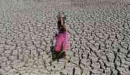 Kerala government declared 9 districts drought-hit, two talukas may face acute water crisis