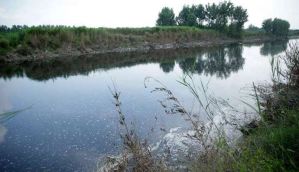 Still no drinking water in Bagpat villages, NGT cracks down on UP govt 