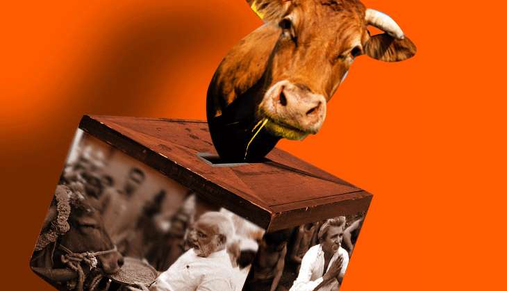 Politics over beef in Haryana ahead of Eid