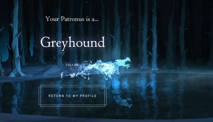 Luna Lovegood got salmon, JK Rowling got heron. Find out what your Patronus is 