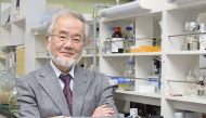 Nobel Prize 2016 for medicine goes to Yoshinori Ohsumi 
