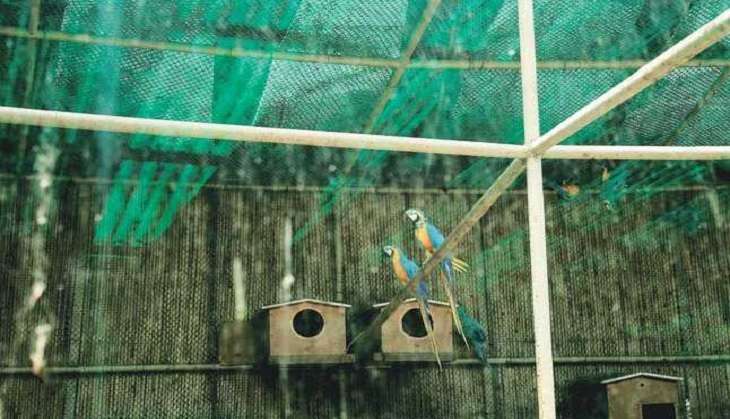 Committee monitoring bird flu to be constituted by Vigilant Centre 