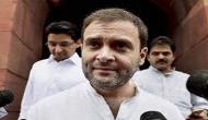 Rahul does politics for picnic: BJP