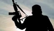 2 Hizb-ul-Mujahideen terrorists neutralized in J&K’s Anantnag