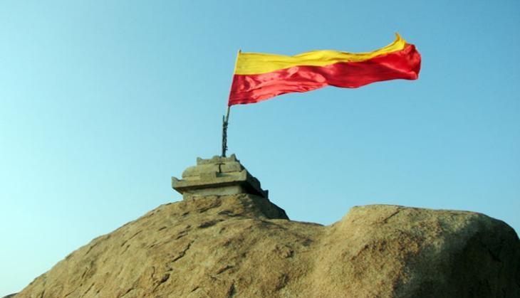 Karnataka flag issue put on hold: MHA | Catch News