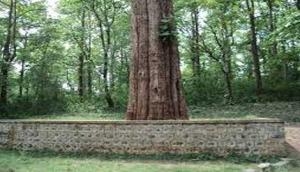 Congress demands probe on Chattisgarh minister's land case