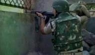Bijapur: Encounter between police and Naxal, body of Naxal recovered