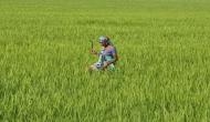 Farm loan waivers may be in focus. But will they do the trick
