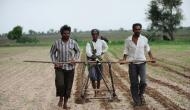 Herbicide resistant BT Cotton behind farmer deaths in Maharashtra? 