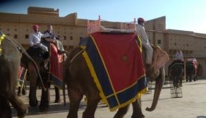 Year-end tourism: Rajasthan's Big Haul