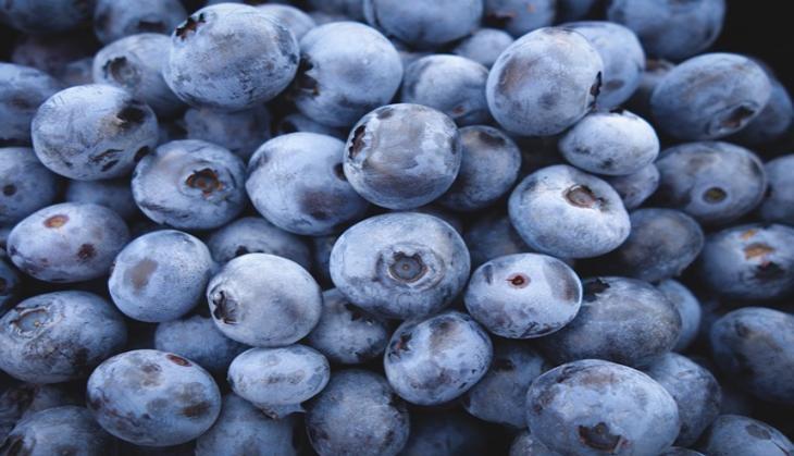 Eating blueberries every day good for heart | Catch News