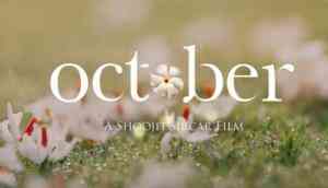 October Box Office Collection Day 1: Varun Dhawan, Banita Sandhu's imperfectly beautiful love story managed a decent start