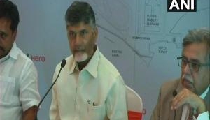 Would've won 15 more seats sans BJP alliance: Chandrababu Naidu