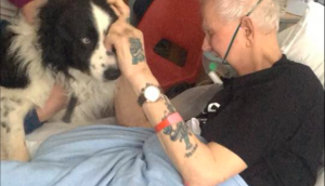 Watch heartbreaking video of dying man kiss his dog goodbye