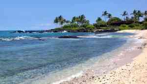 Shark bumps, bites man on Hawaii's largest Kukio beach