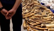Facebook advertises illegal body part of threatened animals