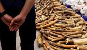 Facebook advertises illegal body part of threatened animals