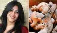 Kamasutra: Ekta Kapoor to make the boldest movie ever; here are the details