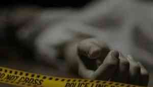 girl kills brother for molesting her