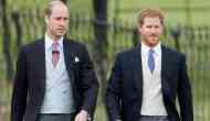 Prince Harry asks brother Prince William as to be his best man at royal wedding to Meghan Markle